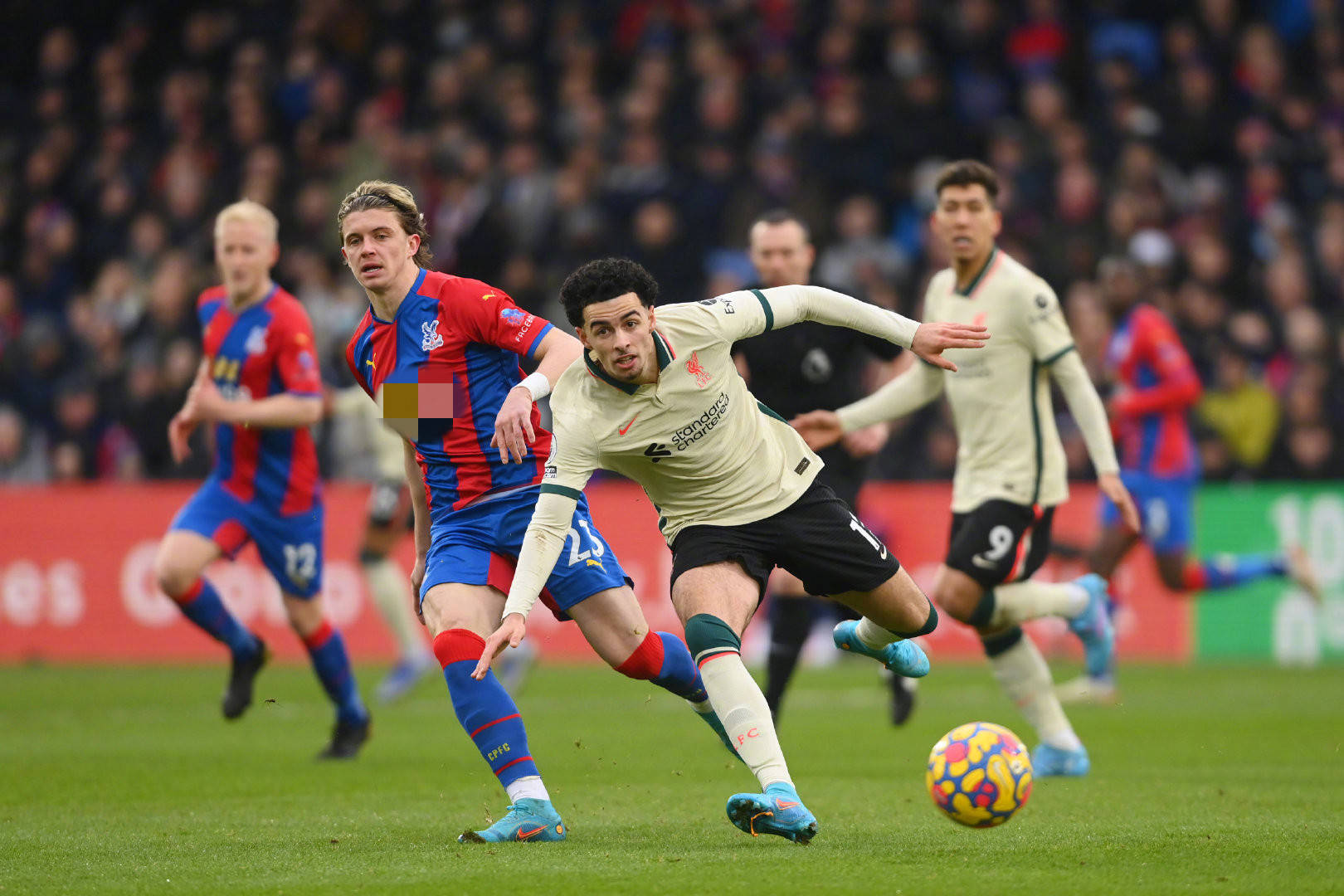 博格巴在曼 博格巴在曼