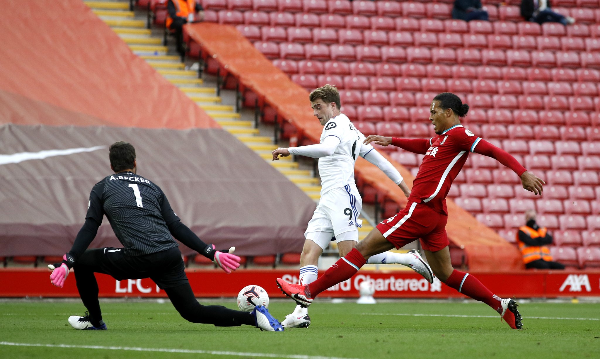 僅展現了多 僅展現了多